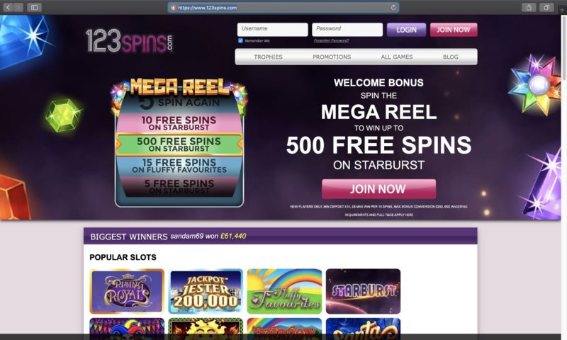 Anytime bingo 500 free spins games