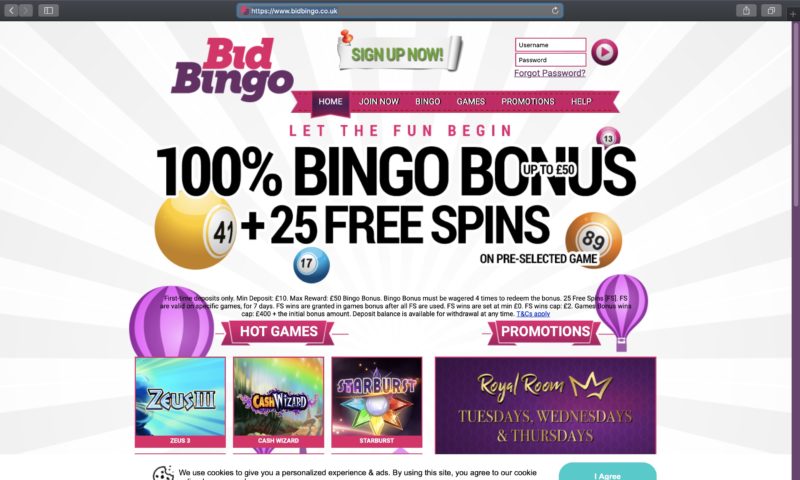 Big tease bingo 25 free spins 2019