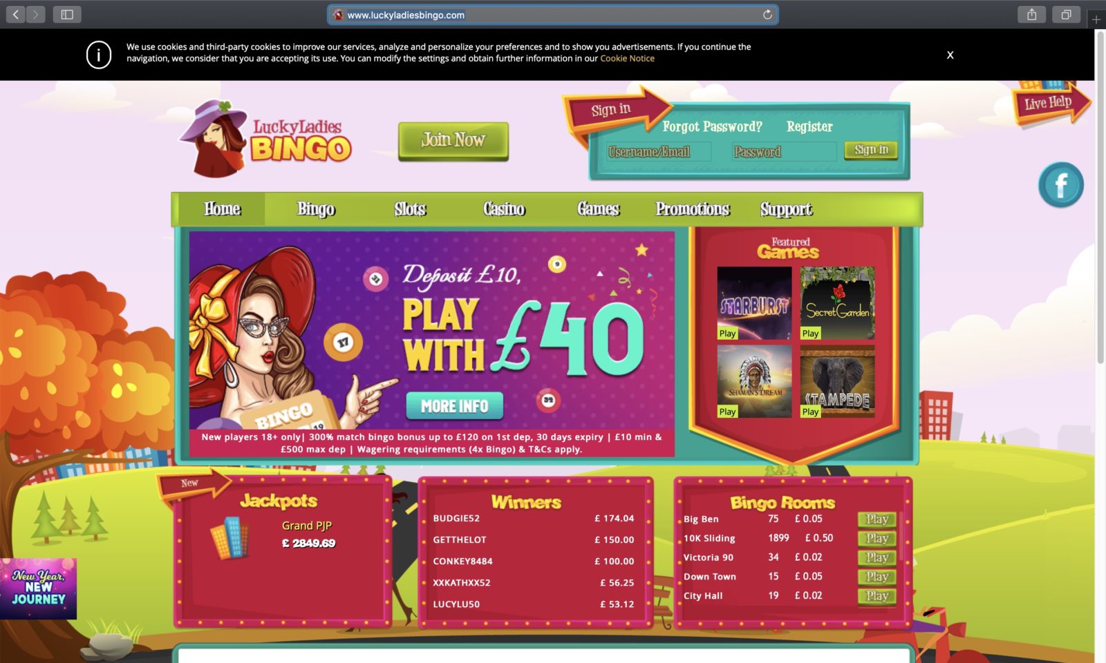 luckyladiesbingo-homepage-1600x960.jpg